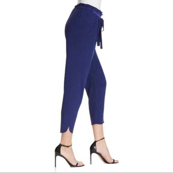 NWT RAMY BROOK Allyn Silk-Blend Pants - Small - Picture 5 of 7